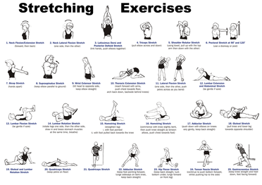 Quick Stretches for Stress Relief You Can Do Right Now